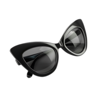 Cat Style Eye Glasses on Transparent Background png