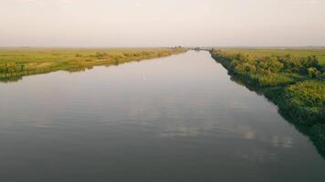 Top view of the river in the steppe area, a white duck swims along the river. Flying a drone over the river video