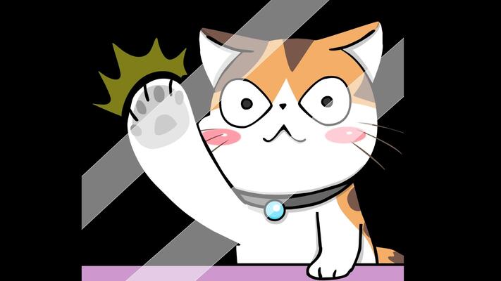 Live Wallpaper Cat Stock Video Footage for Free Download