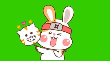 ninja coniglio animazione con gatto maschera - verde schermo video
