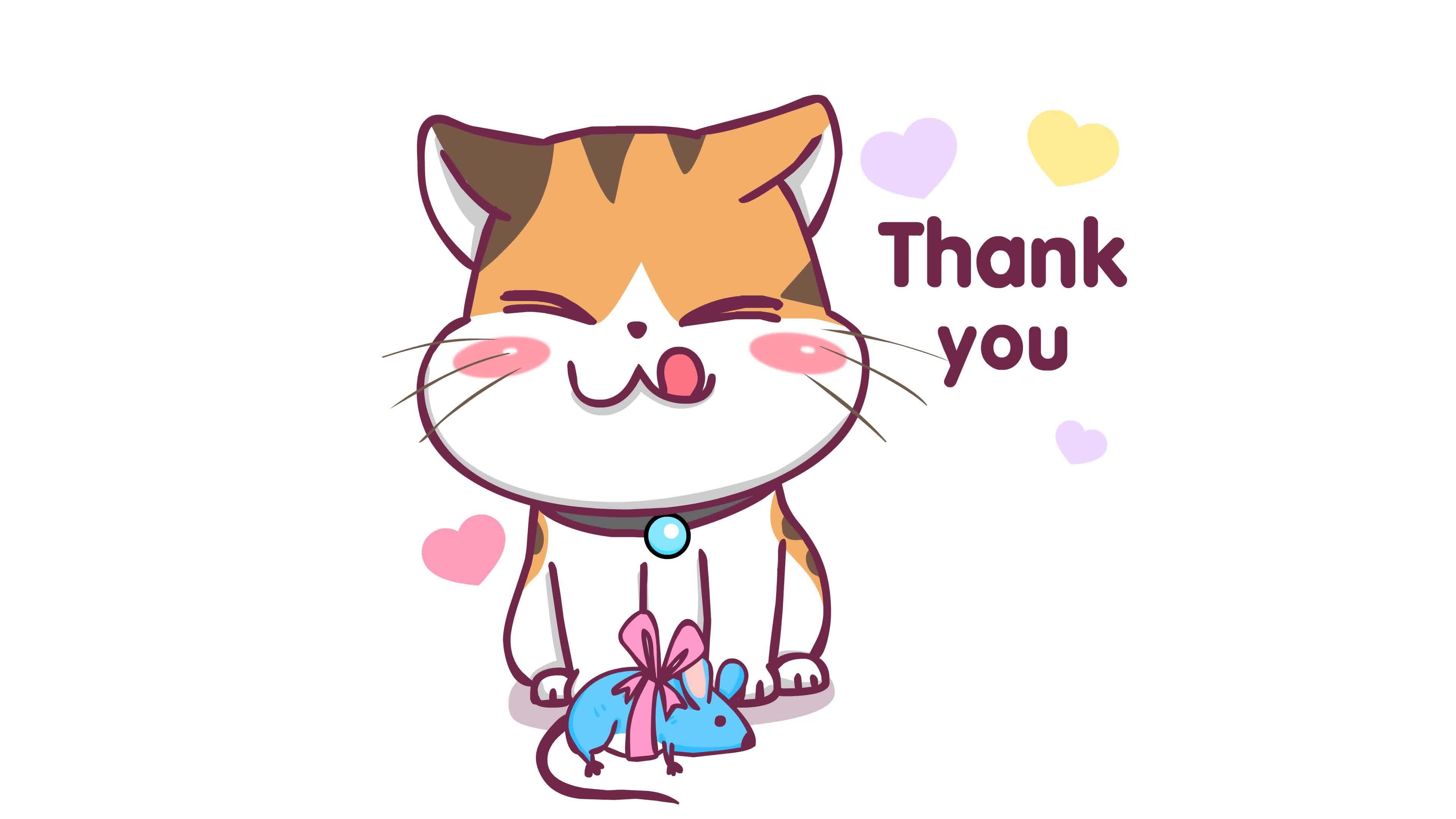 Thank You Kitten Animation - Green Screen 46402101 Stock Video at Vecteezy