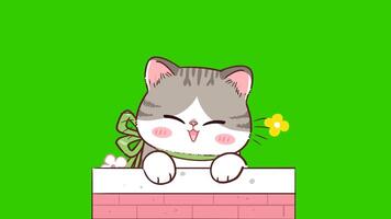 animado gris gatito emergente desde un flor jardín verde pantalla video