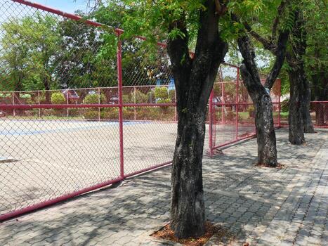 Tamarindo árbol maletero eso tiene negro, áspero ladrar y el patio de recreo como antecedentes foto