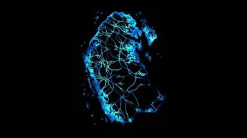 Neon frame effect map of Qatar, glow, black background. video