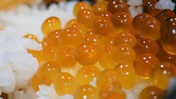 Close up of sashimi salmon roe with rice bowl or donburi in Japanese style food. photo