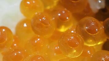 Close up of sashimi salmon roe with rice bowl or donburi in Japanese style food. photo
