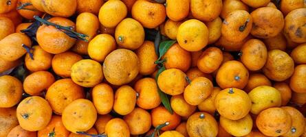 piles of fresh, fragrant oranges citrus in the supermarket photo