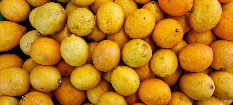 piles of fresh, fragrant oranges citrus in the supermarket photo