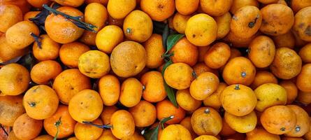 piles of fresh, fragrant oranges citrus in the supermarket photo