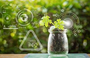 Plant tissue culture growing in laboratory bottles on green blurred background for biotechnology, research and development background photo