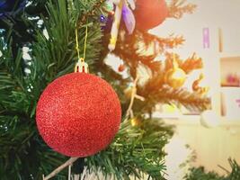 Christmas red ball on pine tree New Year branch with bokeh light. Copy space. photo