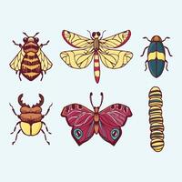 different types of insects and butterflies vector