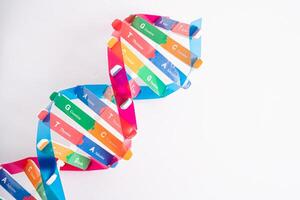 DNA or Deoxyribonucleic acid is a double helix chains structure formed by base pairs attached to a sugar phosphate backbone. photo