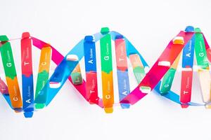 DNA or Deoxyribonucleic acid is a double helix chains structure formed by base pairs attached to a sugar phosphate backbone. photo