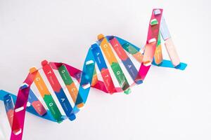 DNA or Deoxyribonucleic acid is a double helix chains structure formed by base pairs attached to a sugar phosphate backbone. photo