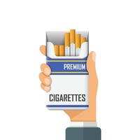 Hand holding packet of cigarettes icon in flat style. Smoking illustration on isolated background. Tobacco box sign business concept. vector