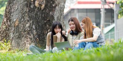 College student having discussion under tree on campus, preparing for exam, learning and reading books together photo