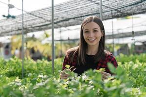 contento joven hembra granjero a granja invernadero orgánico foto