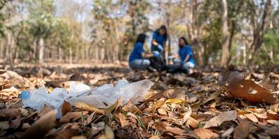 Garbage collect volunteer collect up plastic bottles put garbage at parks avoid pollution be friendly to the environmental and ecosystem photo