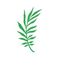 Natural green tree branch with leaves and stem paradise exotic fern growing plant grunge texture vector