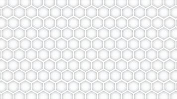 Abstract honeycomb background white. Seamless pattern of the hexagonal netting. Realistic geometric mesh cells texture. Abstract white wallpaper with hexagon grid. vector