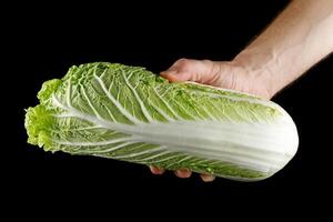 Beijing cabbage close-up in hand photo