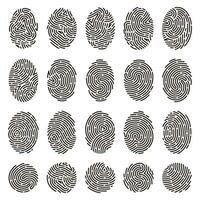 Fingerprint identification. Biometric human fingerprints, unique thumb lines imprint. Security fingerprint authentication illustration set vector