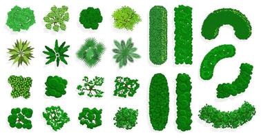 Top view bushes and trees. Green forest or park planting, green fences, bushes and trees view from above. Trees top view illustration set vector