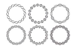 DNA round frames. Circle framing with genome helix structure isolated on white background set. Six pattern brushes in panel vector