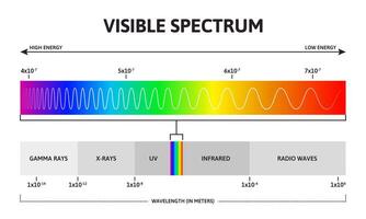 Visible color spectrum. Sunlight wavelength and increasing frequency infographic illustration. Visible spectrum color range vector