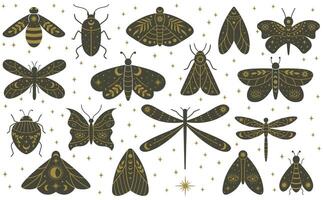 Mystical boho moth butterfly dragonfly hand drawn insects. Magical witchcraft dragonfly, butterfly, beetles and moth illustration set. Witchcraft mystical wild insects vector