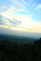 Portrait of a natural landscape in the form of a forest on a hill at sunset with a clear sky mixed with blue and white photo