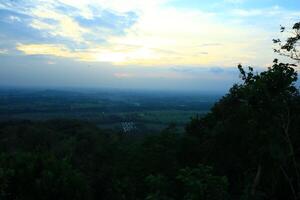 A landscape natural scenery in the form of a forest on a hill at sunset with a clear blue and white sky photo