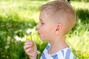 Cute little blond boy blowing a dandelion in the summer garden. photo