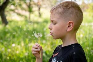 A handsome blond boy blows a dandelion in the park. Selective focus. photo