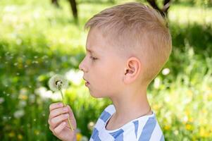 Cute little blond boy blowing a dandelion in the summer garden. photo