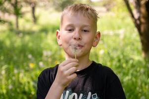 A handsome blond boy blows a dandelion in the park. Selective focus. photo