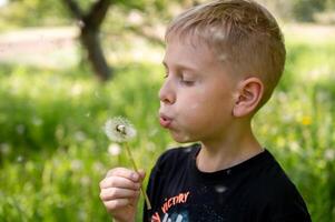 A handsome blond boy blows a dandelion in the park. Selective focus. photo