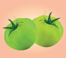Realistic Fresh Green Tomato Design Illustration with Green Stems vector