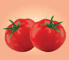Realistic Fresh Red Tomato Design Illustration with Green Stems vector