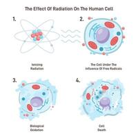 Cell death from ionizing radiation. Free radicals damage a cell structure vector