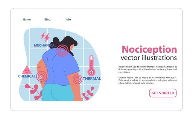 Nociception illustration. Visualization of the body's response to mechanical.
