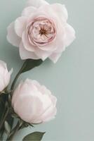 Simple serene background design photo