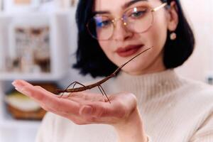 Young Woman Captured in a Beautiful Moment with Her Stick Insect , Medauroidea Extradentata photo