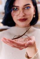 Young Woman Captured in a Beautiful Moment with Her Stick Insect , Medauroidea Extradentata photo