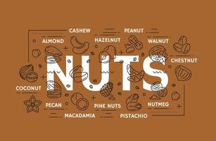 Line nuts, linear brown background with seeds vector