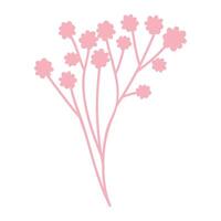 Spring blooming flowers on white background vector