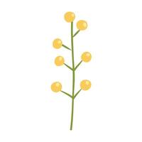 Spring blooming flowers isolated on white background vector