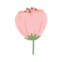 Spring blooming flowers isolated on white background vector