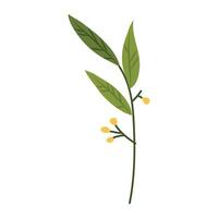 Spring blooming flowers isolated on white background vector